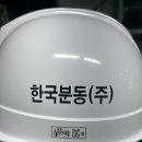 한국분동