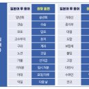 유도리야 이미지