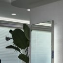 한솔센트럴 파크1 | 범계미용실 하리무드에서 아윤채크리닉 풀코스 머릿결 살아난 후기