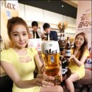 맥스(MAX)비어 이미지