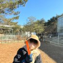 강원도 강릉 가볼만한곳 뒷뜨루 관광농원