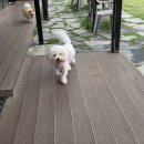 놀다가개유치원 이미지