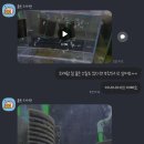 열대어나라수족관