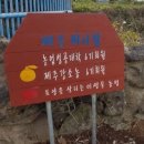 제주써니 네이버블로그