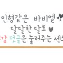 스타일 멍멍 이미지