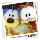 시소 펫 이미지