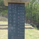 이종무장군대마도정벌 이미지