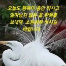 1048회차 일요일 자동 10장 이미지