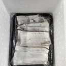 제주생갈치 이미지