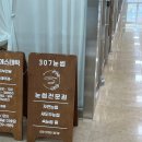 307눈썹