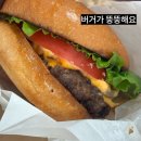 필필필(Feel Viel Fill) | 필필필(feel viel fill) 모란역점 - 맛있고 인기많은 수제버거 집