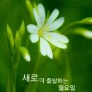 2026.06.29.(월). 끝말잇기 현정님의 "요"자로 이어갑니다. 이미지