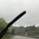 구강목장 이미지