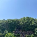 동백복싱클럽 이미지