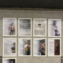 피트니스 메이트 이미지