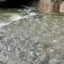 퇴촌나폴리 이미지