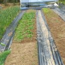 매내골 농장 이미지