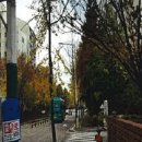 신우가스 이미지