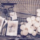 구림축사 이미지