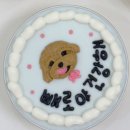 퍼스널댕댕 이미지