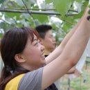 한국동서발전(주) 동해바이오화력본부 이미지