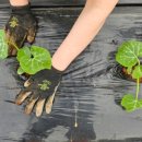 서수원농자재마트 이미지