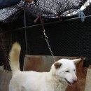 하나로 클럽 이미지