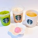 도곡2-235 | 스타벅스 코코말차 윈터 스카치 바닐라 라떼 케이크팝 스벅 신메뉴