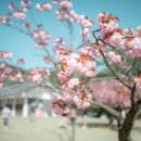 불국동주민자치센터 이미지