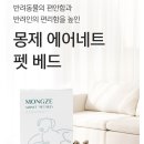 보미가 | 몽제 에어네트 펫 베드 사용 후기 포메라니안 보미가 먼저 선택한 강아지 방석