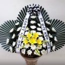 에스에스모터스 이미지