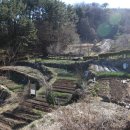 월영동228 이미지