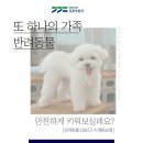 댕댕이냥 이미지