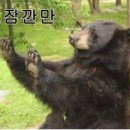 메이지 이미지