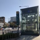 채우다SMP아카데미 | 산후 탈모커버 SMP전문 채우다아카데미 후기