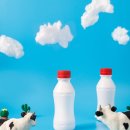 코리아히록스 이미지