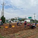 사랑의농장 이미지