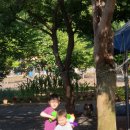 산내알프스펜션 이미지