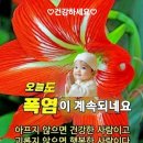 47년의 짧은삶ㅡ이 태석 신부ㅡ 이미지