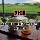 동다원 | 제주 카페 추천 애월맛차 말차라떼 녹차밭뷰 조용한 힐링 카페 내돈내산