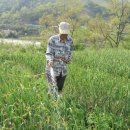 낙안농장 이미지