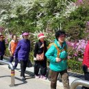 유원아파트경로당 이미지