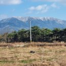 달건너농장 이미지