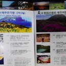 미로항공여행사