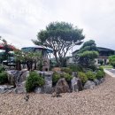 산내음 물소리 | 논산숙소 솔바람펜션 대전가볼만한곳 성심당 오픈런 가능한 근교숙소