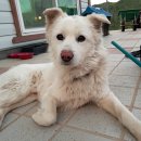 재송1동 주민센터 이미지