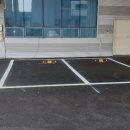 엠티브이21로 이미지