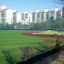 연세대학교삼애캠퍼스연세대야구장 Daum카페
