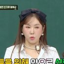 장영란, 눈 수술 4번 만에 성형 중단…아이들이 무섭다고 ('아형') 이미지