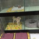 덕구놀이터 이미지